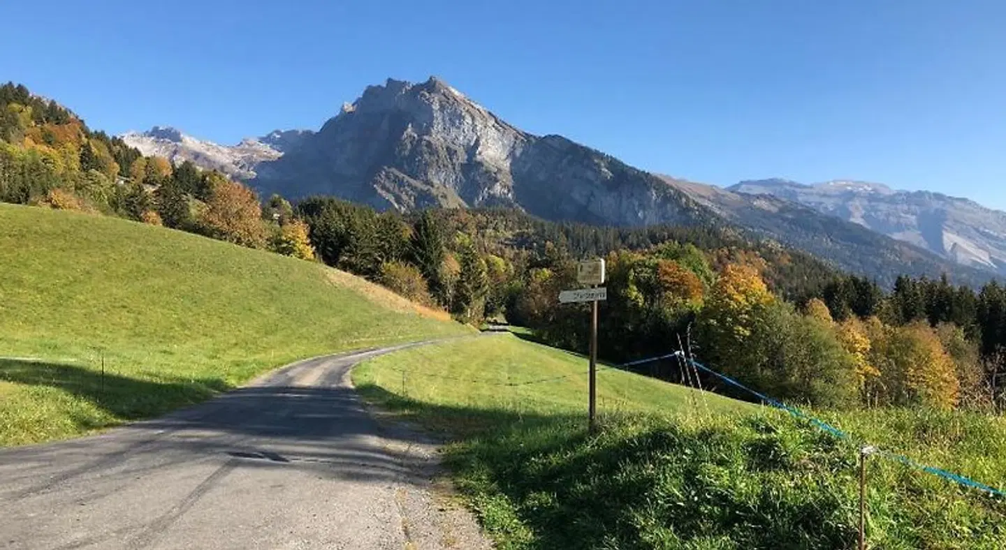 L'Epervier Blanc LANDSCAPE