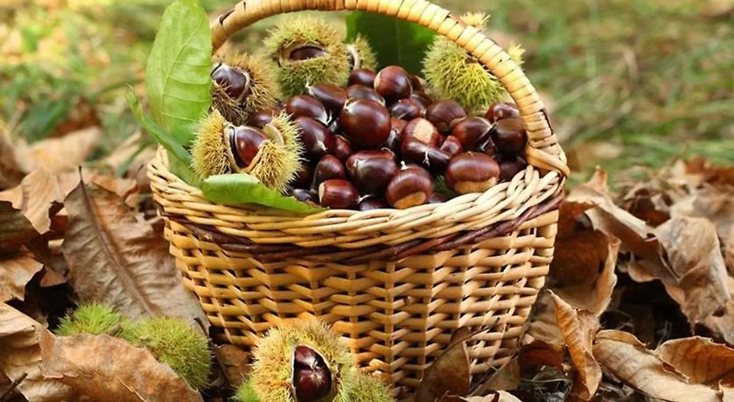 Agriturismo Lo Scoiattolo Tiere