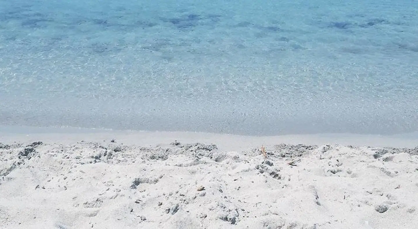 Posidonia Strand