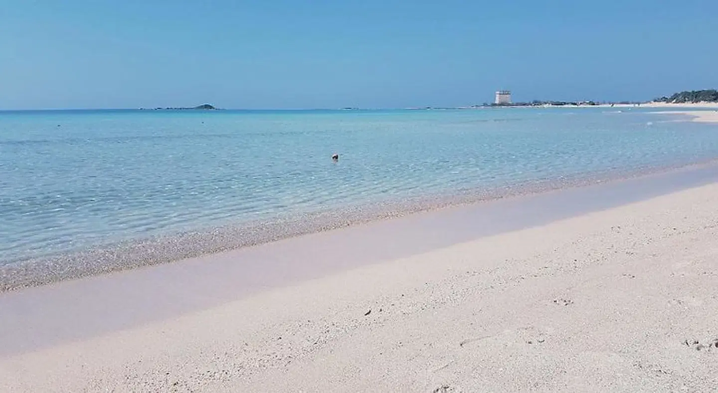 Posidonia Strand