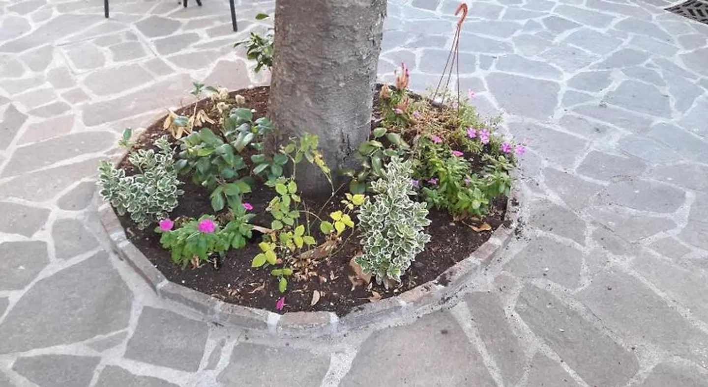 Florence Stadium B&B Garten