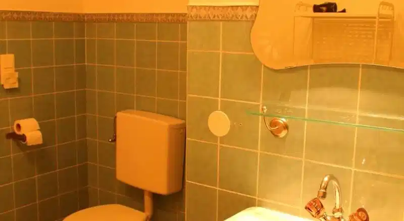 Hotel Goldene Krone – Hotelfoto