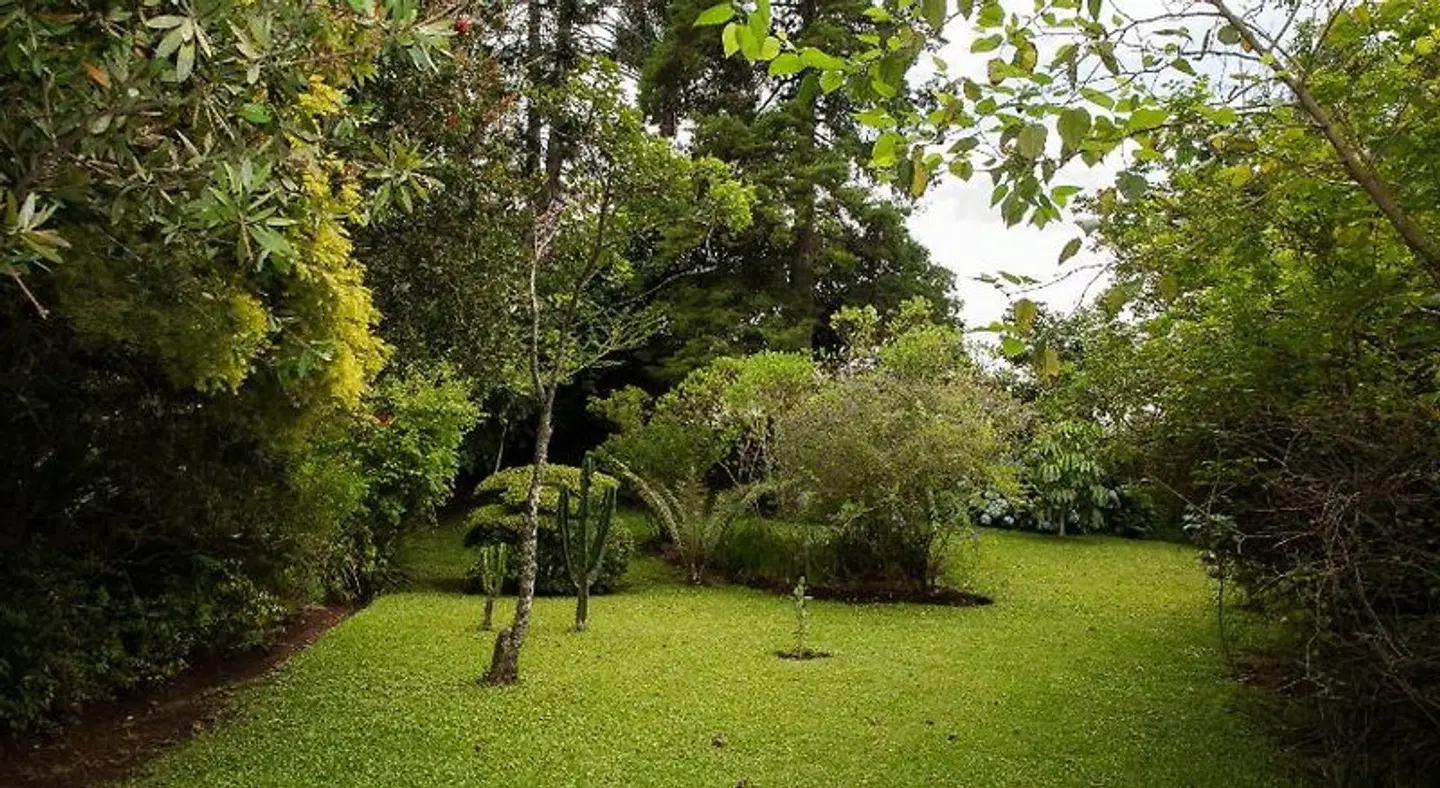 York House Guest House Garten