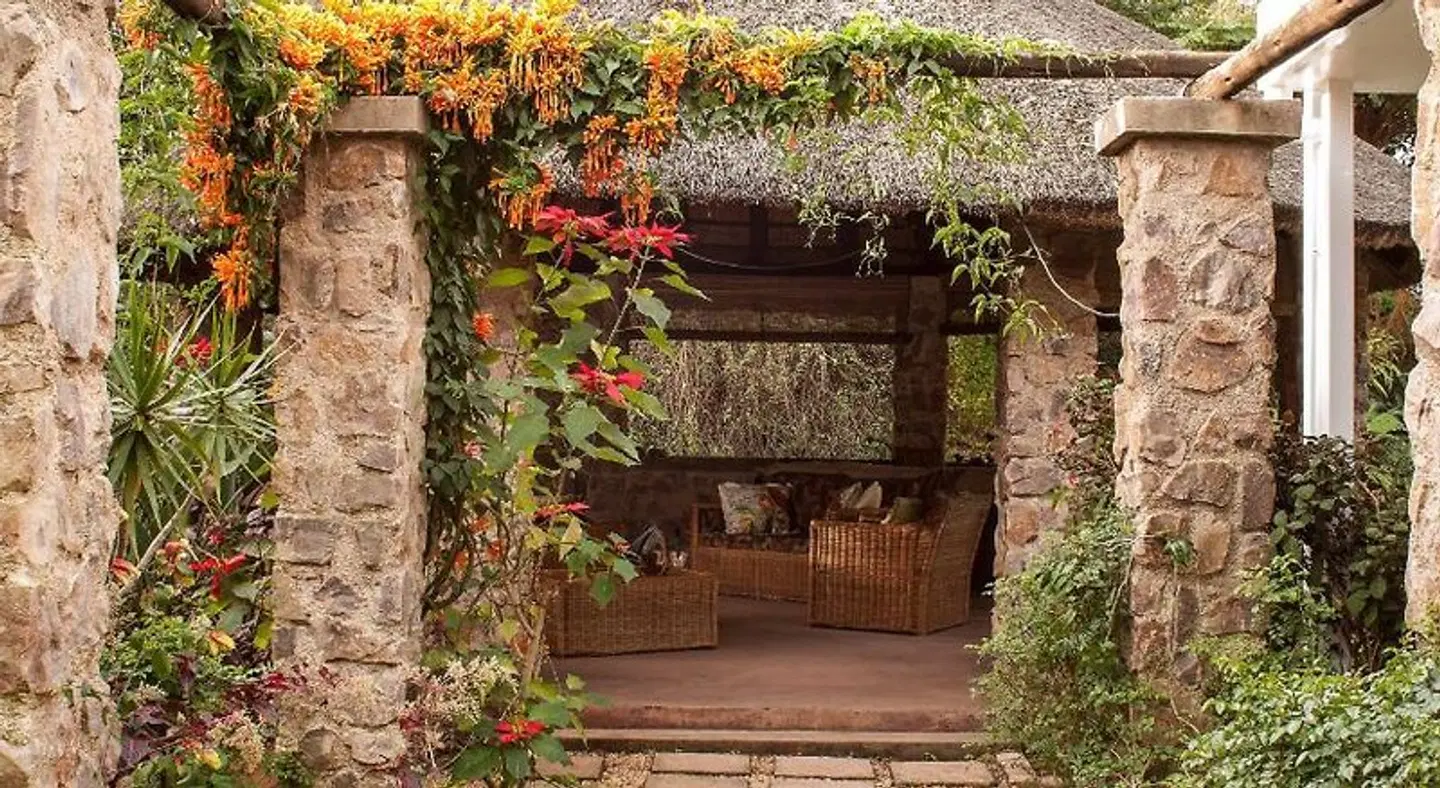 York House Guest House EXTERIOR