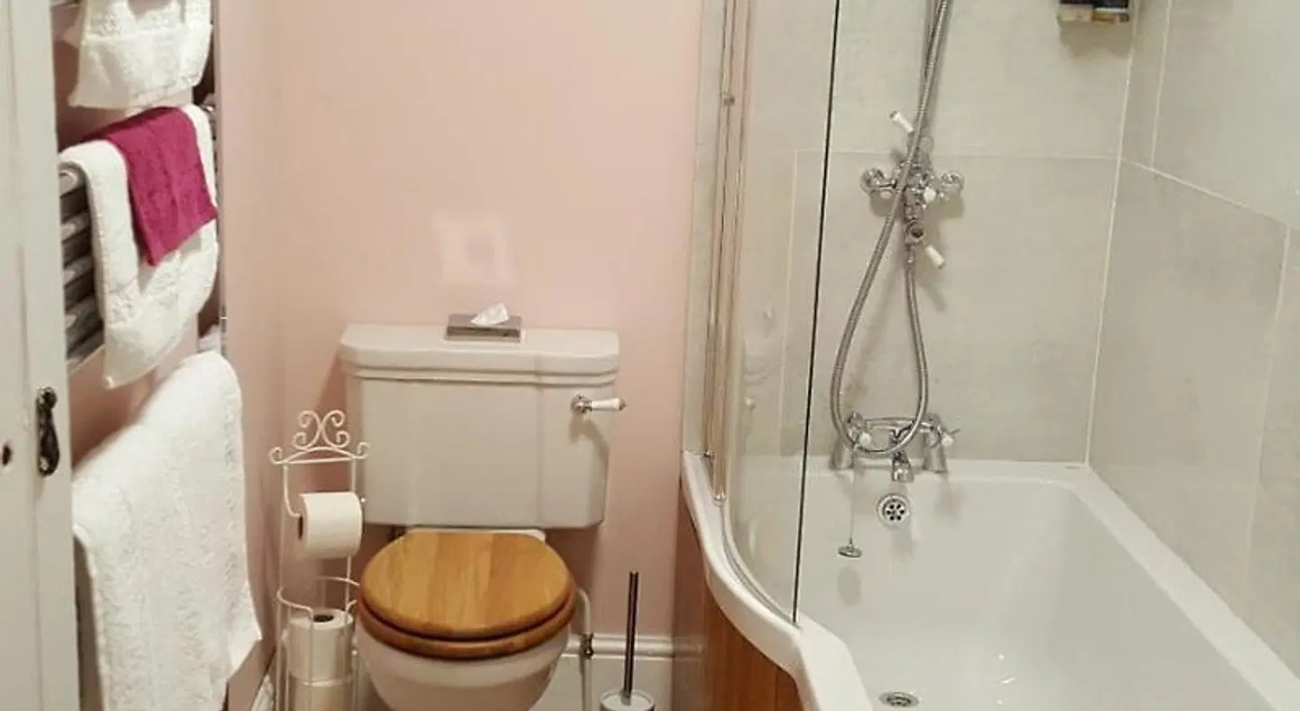 Pontyclerc Farm House Bed and Breakfast Badezimmer