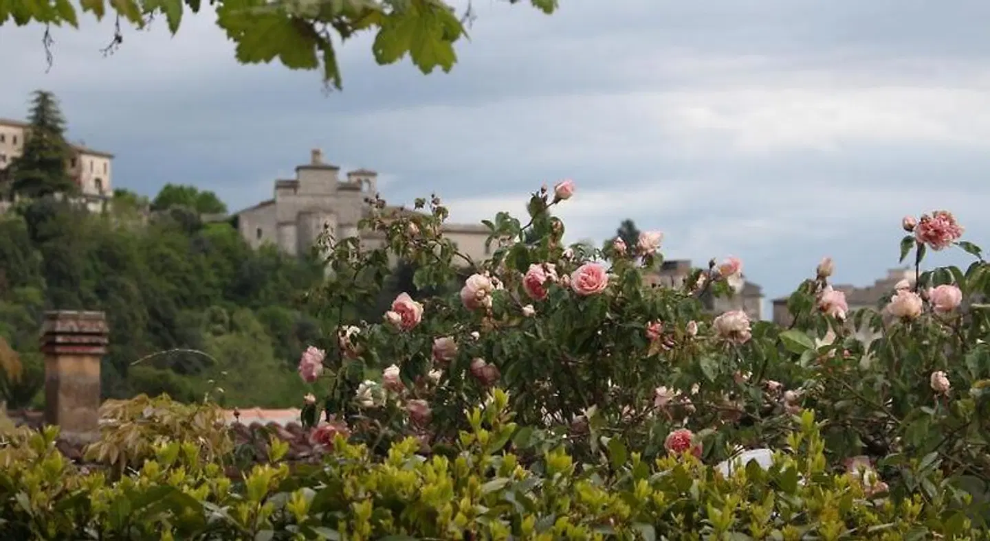 Le coste Garten