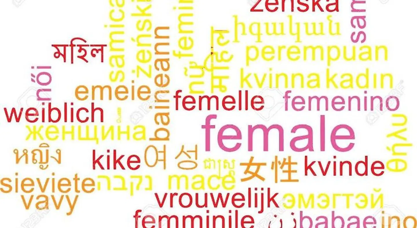 Terraza del Limonar Albergue Landkarte