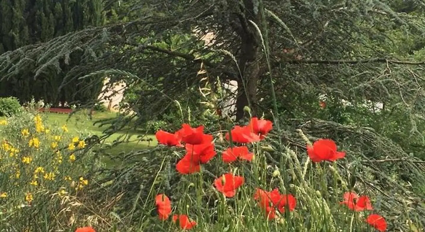 Casale Sant'Elia LANDSCAPE