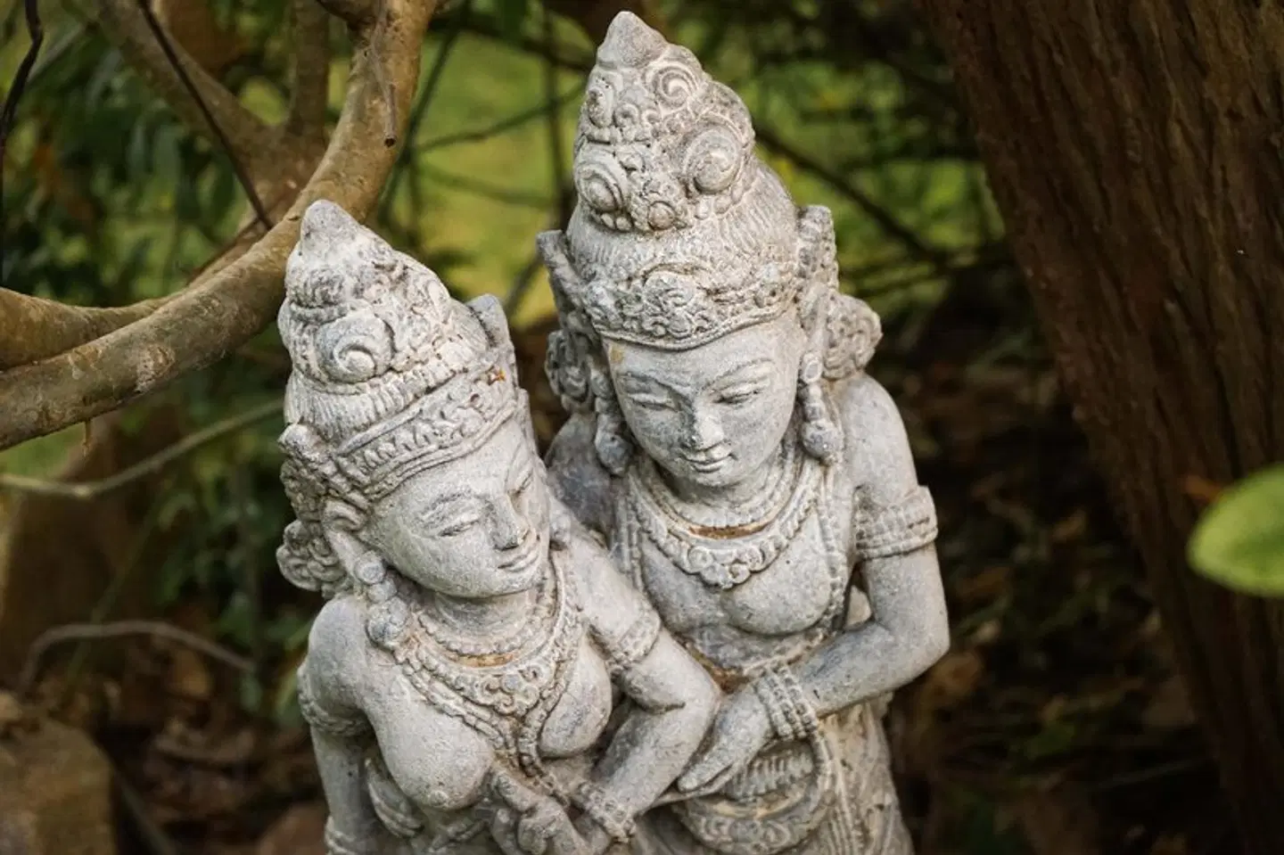 Shunyata Villas Bali Tiere