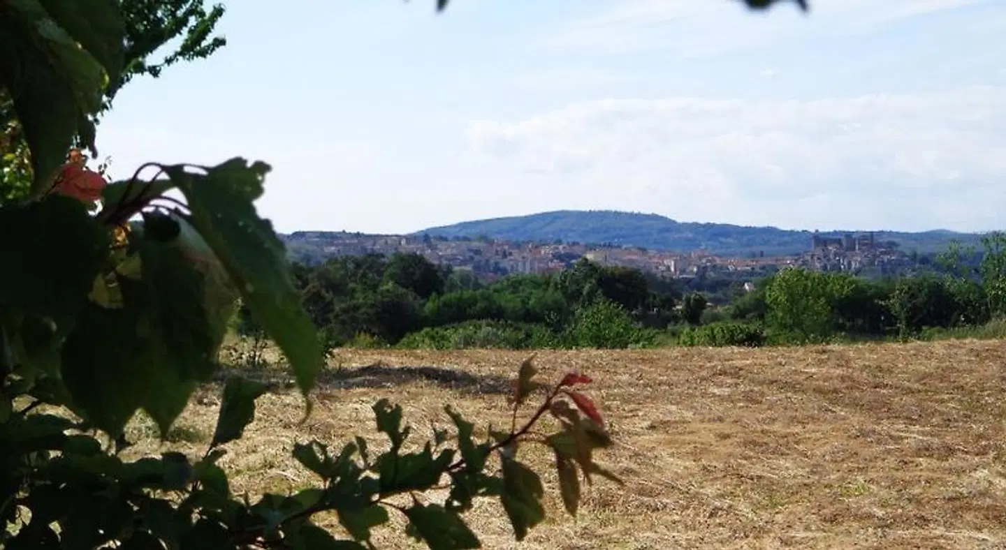 Agriturismo Fontelupo Tiere