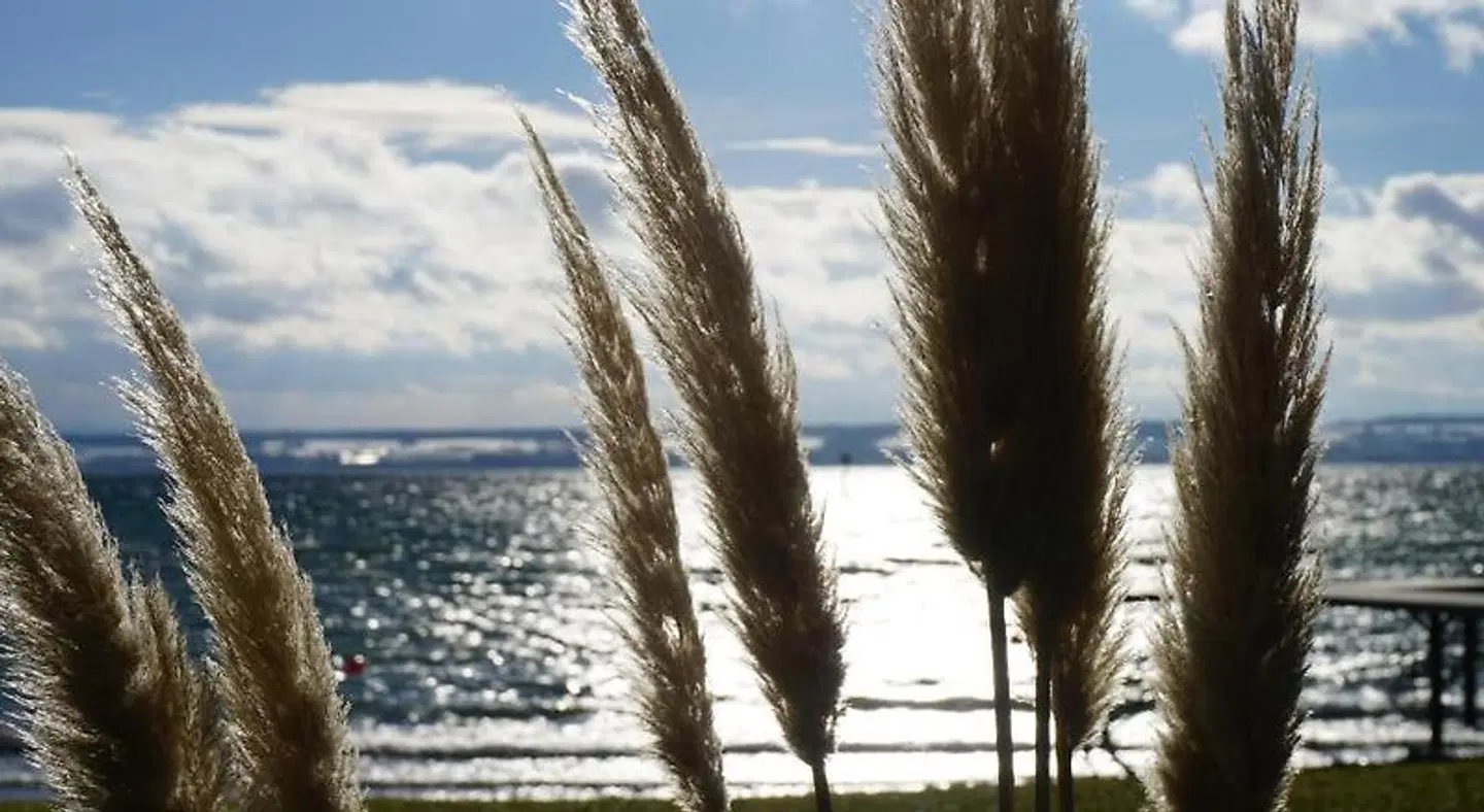 Hotel-Restaurant Alpha Tiere