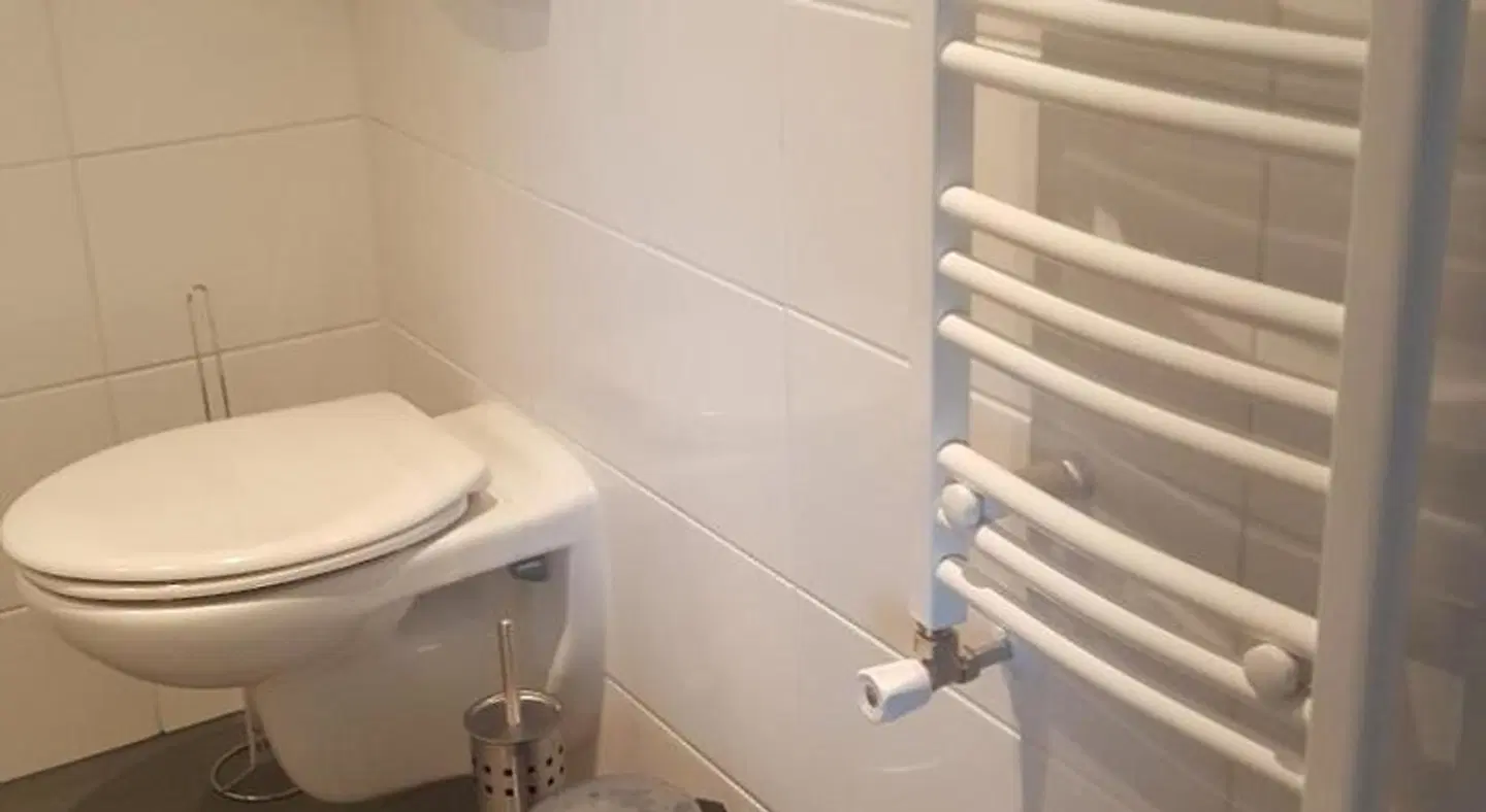 Het Zwanennest Badezimmer