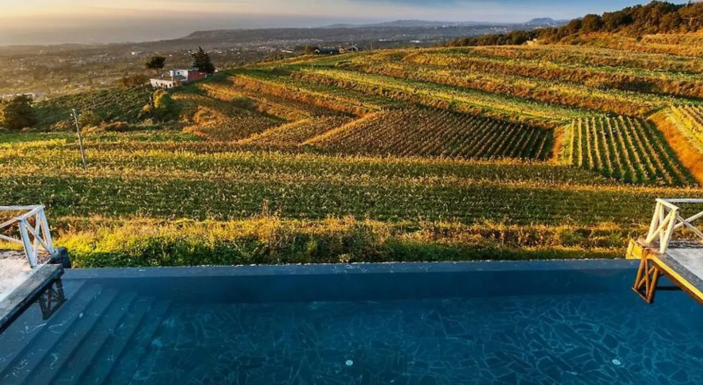 Wine Resort Villagrande LANDSCAPE