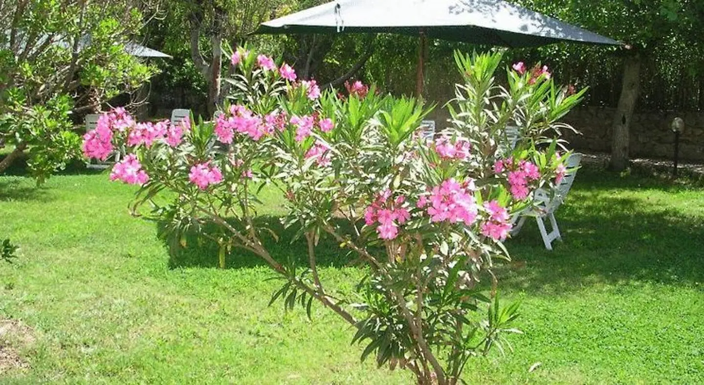 Nido D'aquila Garten