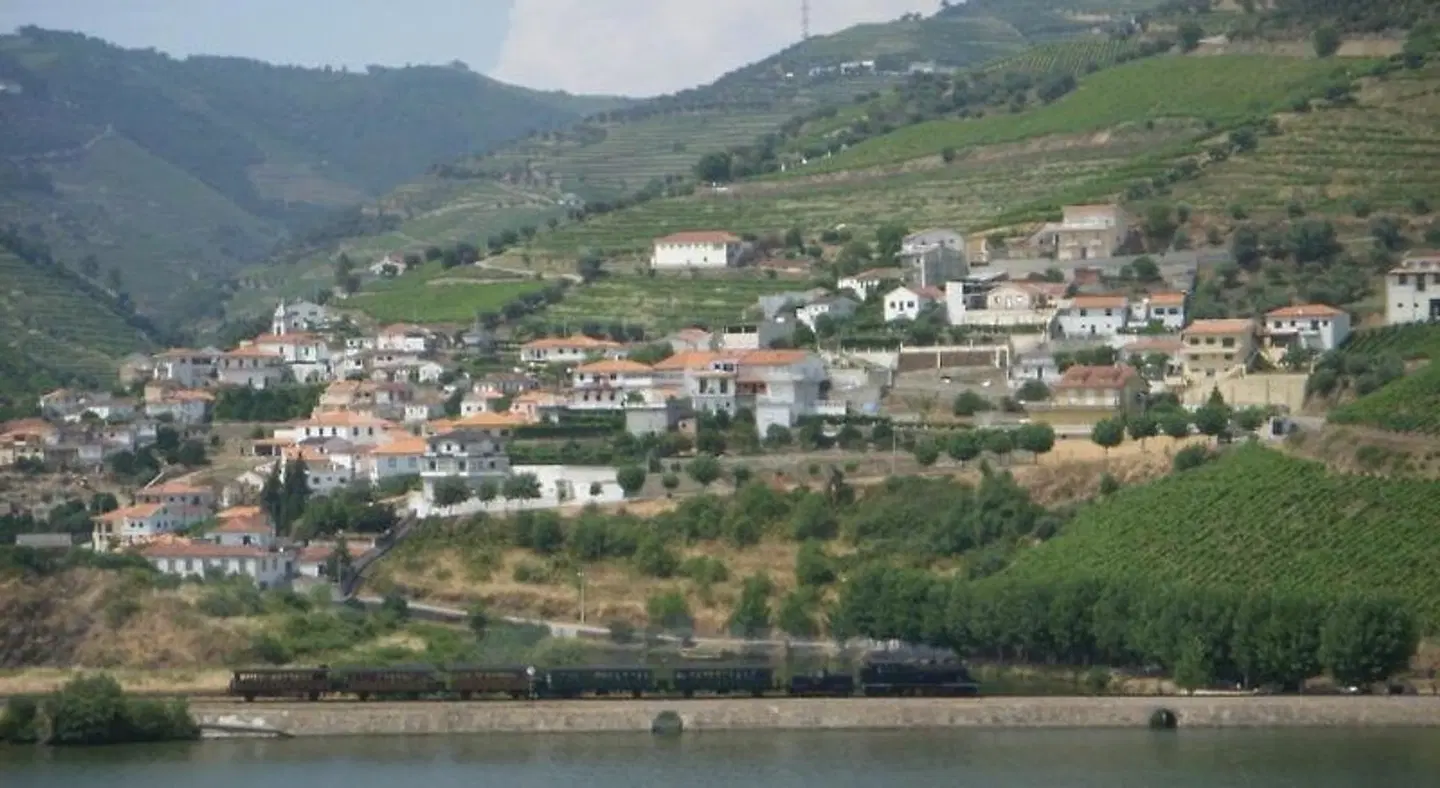 Quinta Da Azenha LANDSCAPE