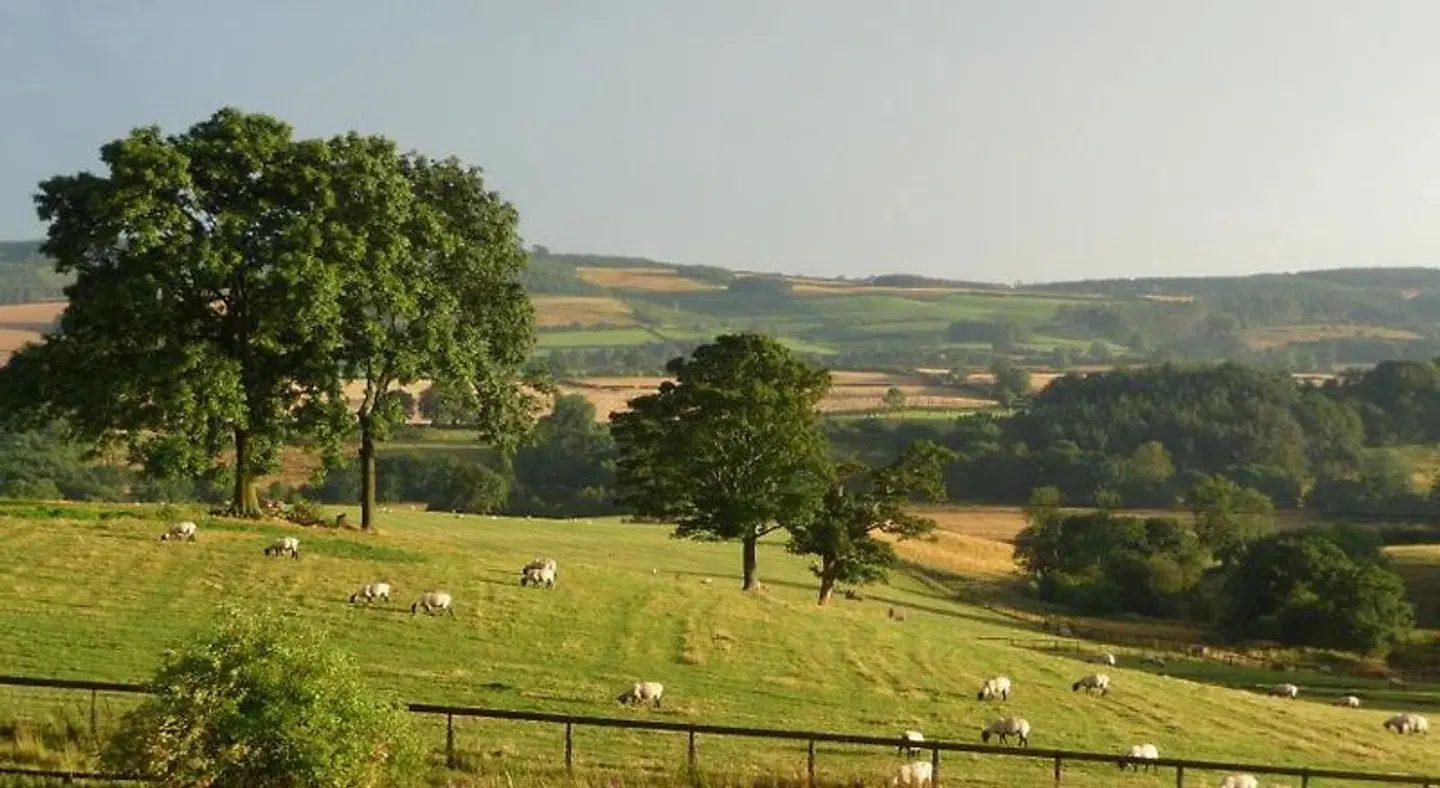 Shallowdale House LANDSCAPE