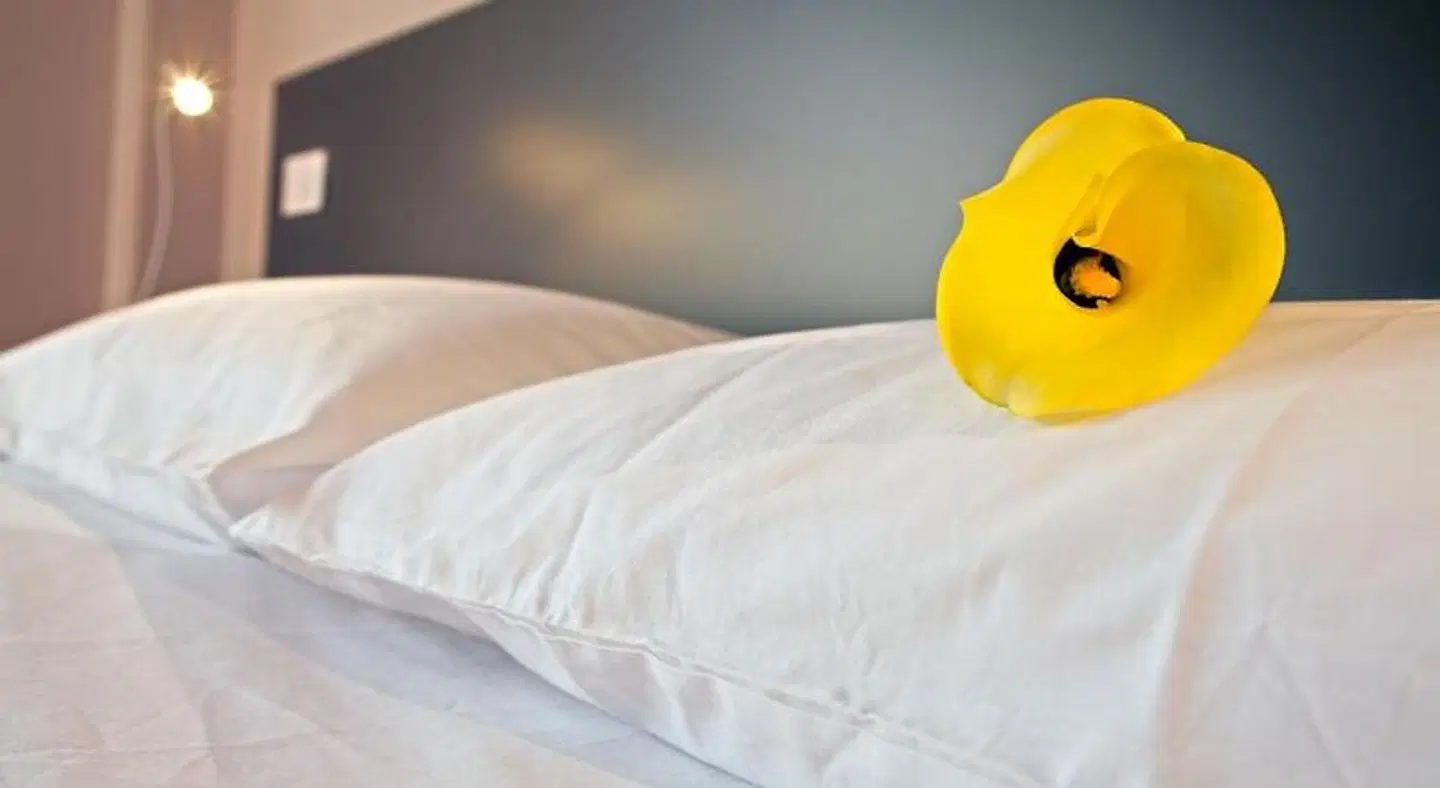 Il Fiore in una Stanza ROOM_EXAMPLE