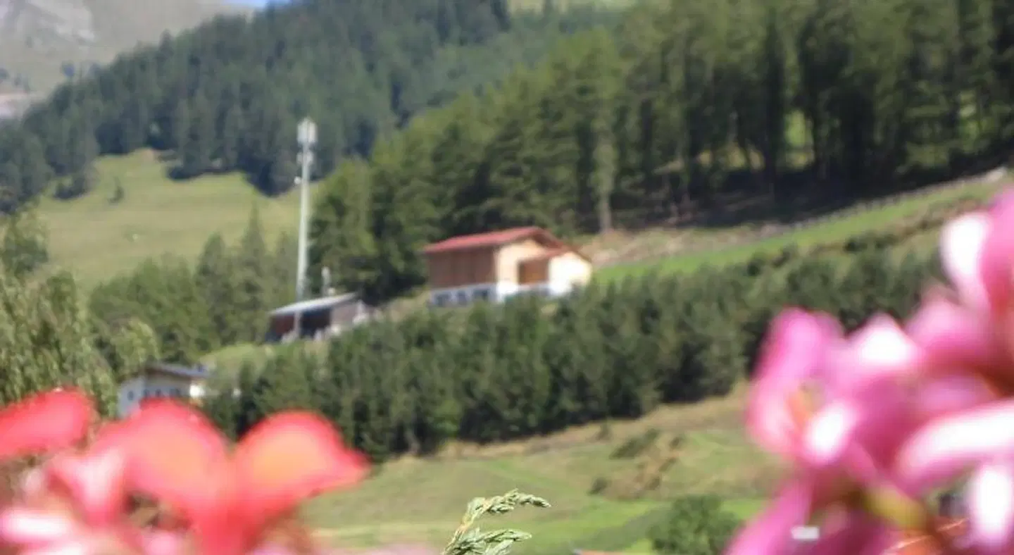 Alpenrose-Apart SPORTS_AND_LEISURE