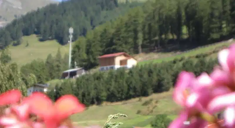 Alpenrose-Apart – Hotelfoto