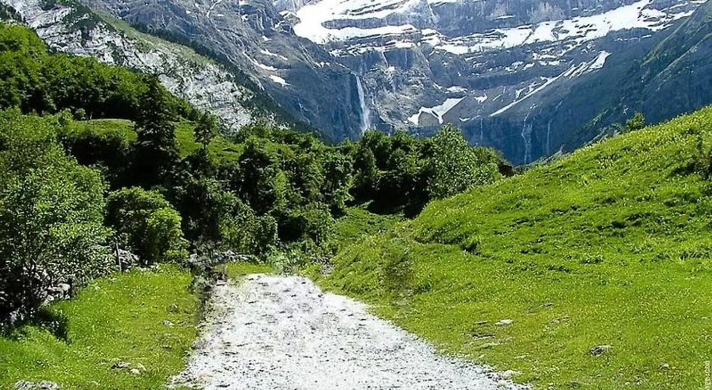 des Rosiers LANDSCAPE
