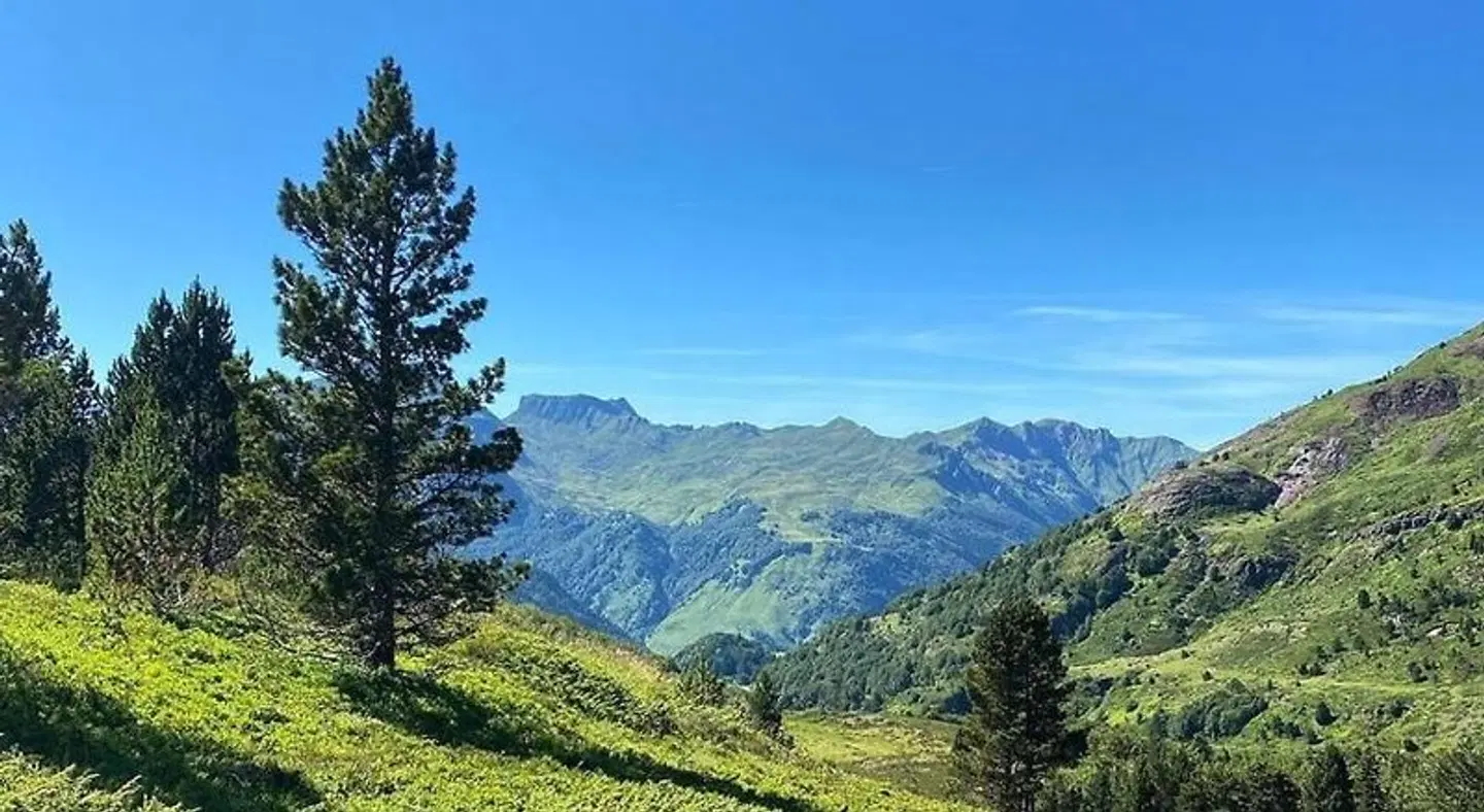 Tobazo LANDSCAPE