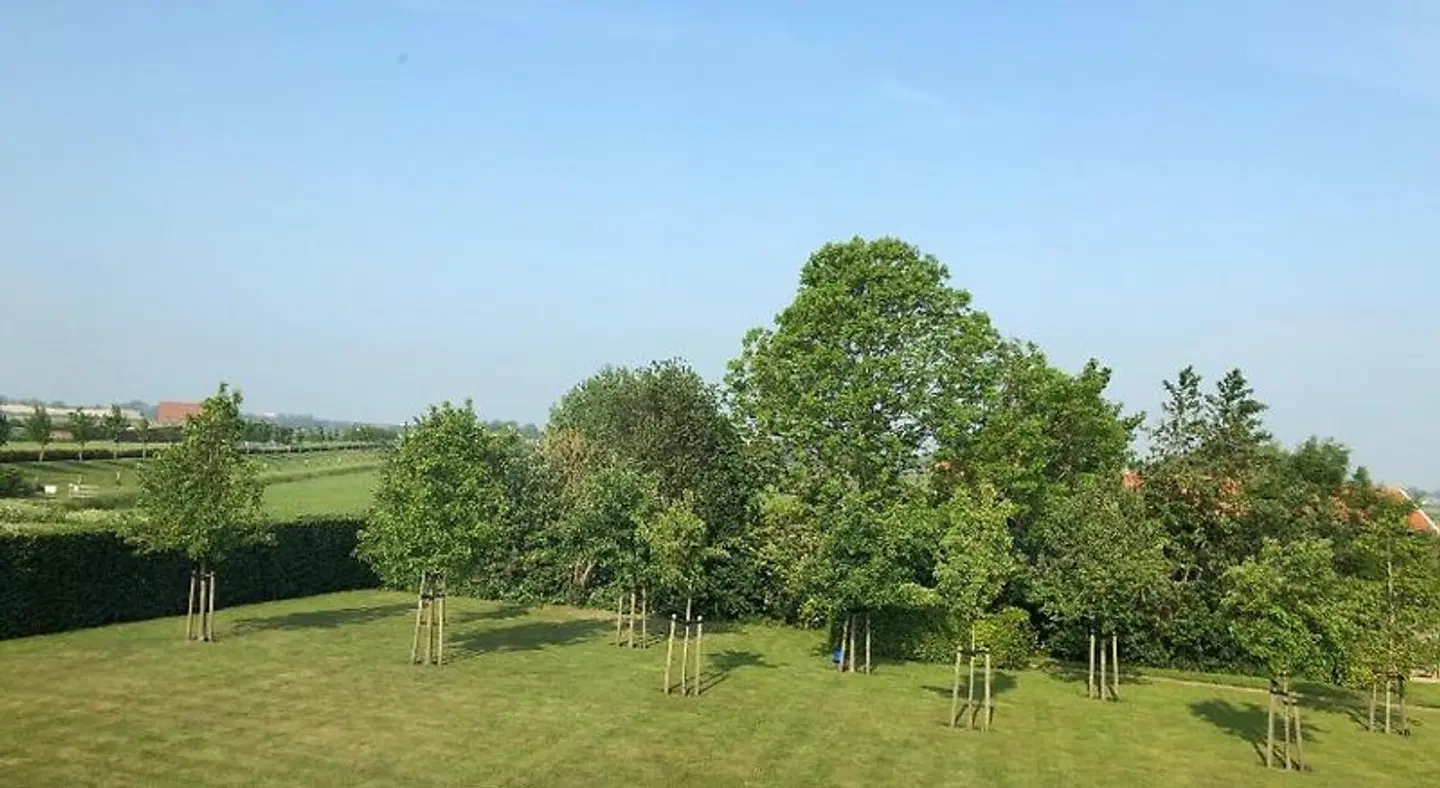 Chalet Royal LANDSCAPE