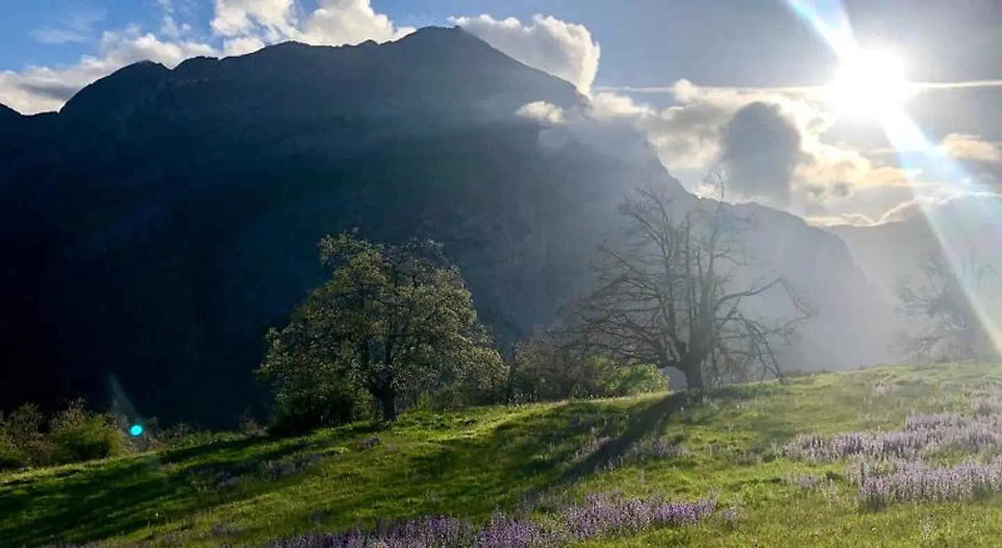 Hostal La Cuna del Sella LANDSCAPE