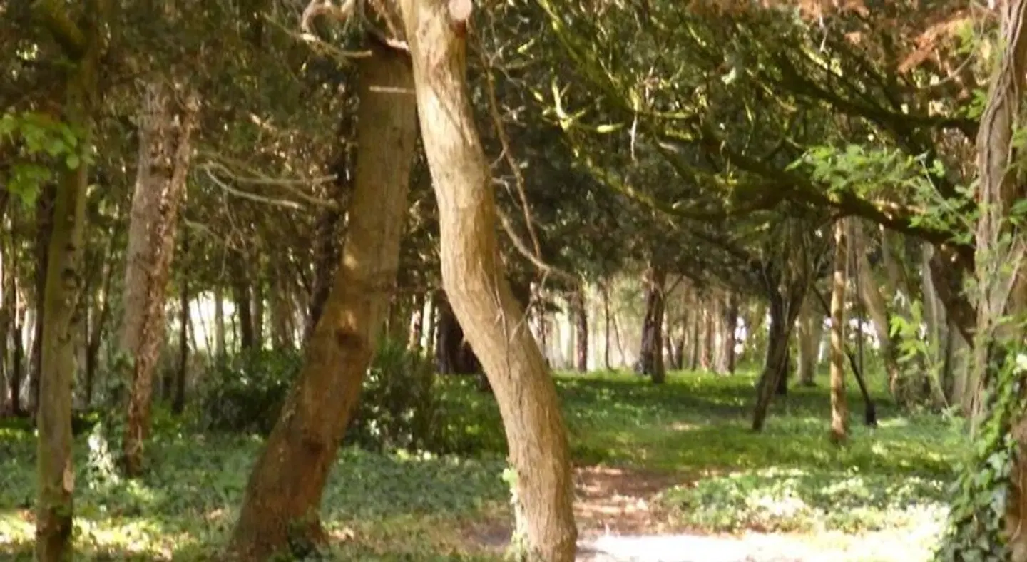 Chateau de Hieville Tiere
