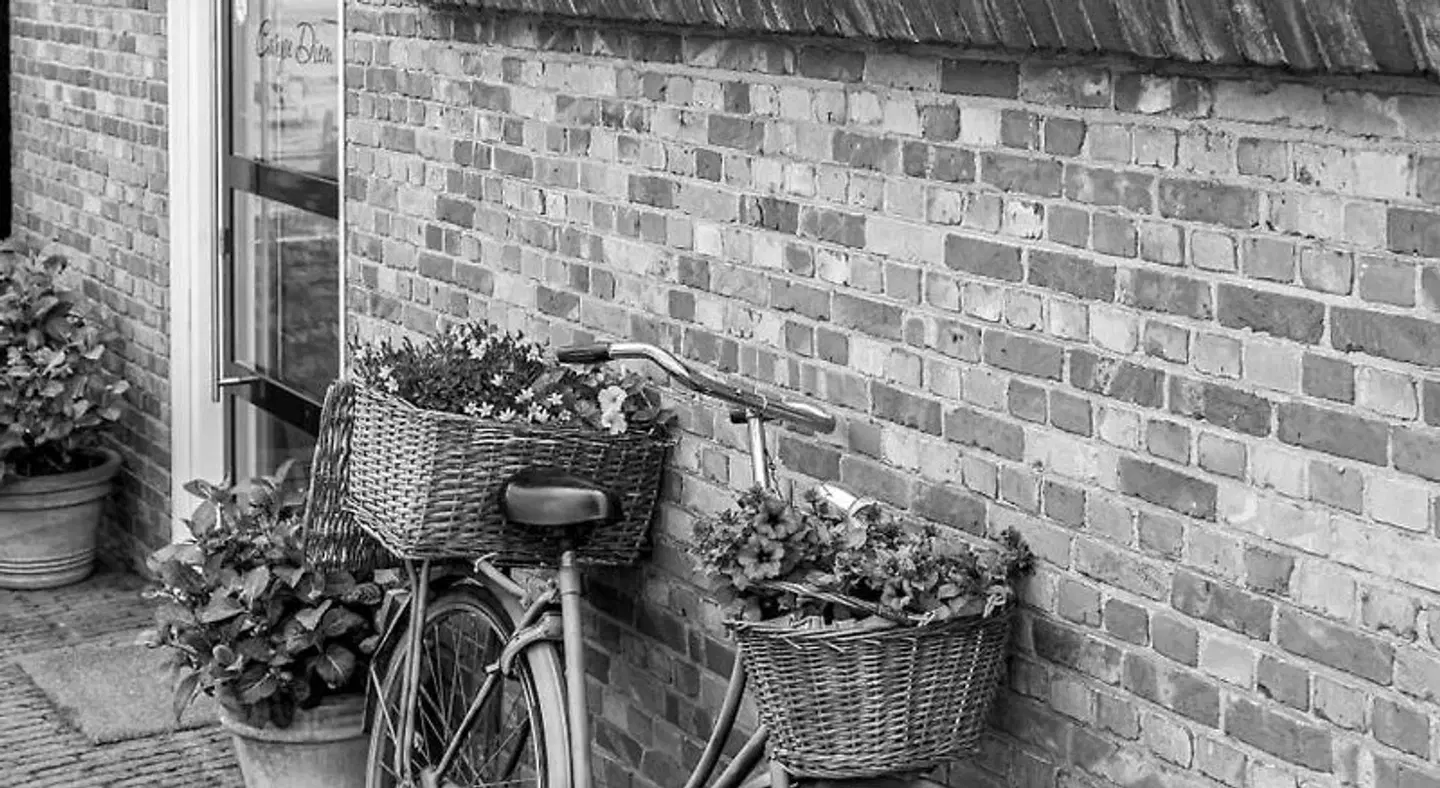 B&B Carpe Diem Terrasse