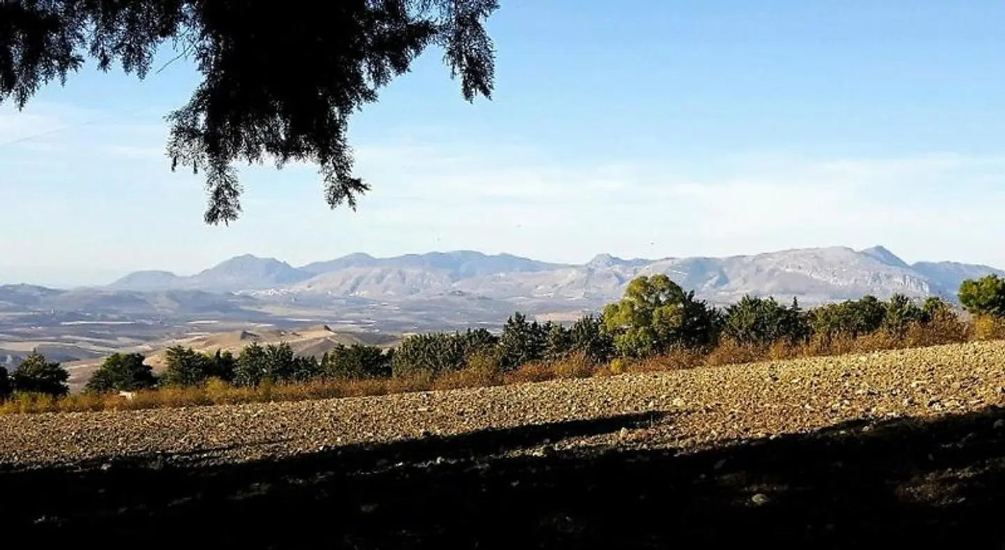 Chiosi Country Club LANDSCAPE