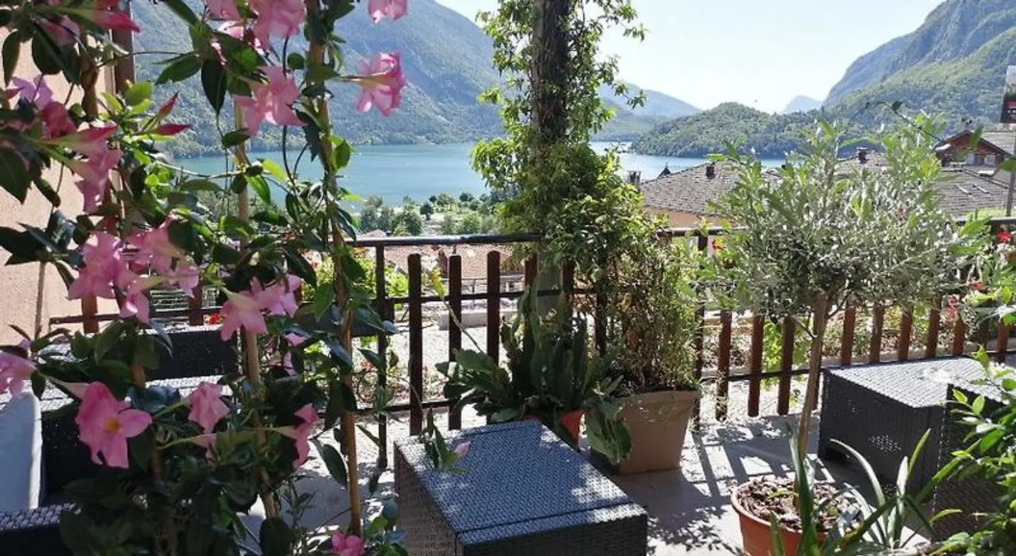 Albergo Stella Alpina Terrasse