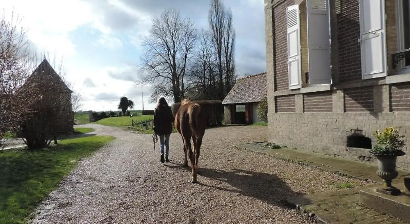 Chambres d'Hôtes de la Bucaille Tiere
