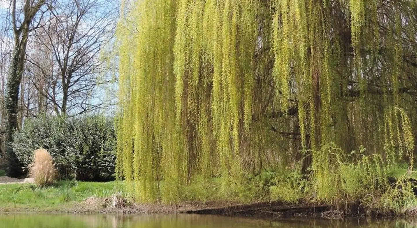 Chambres d'Hôtes de la Bucaille LANDSCAPE