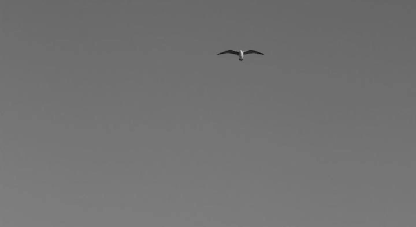 Il Canto dei Venti Tiere