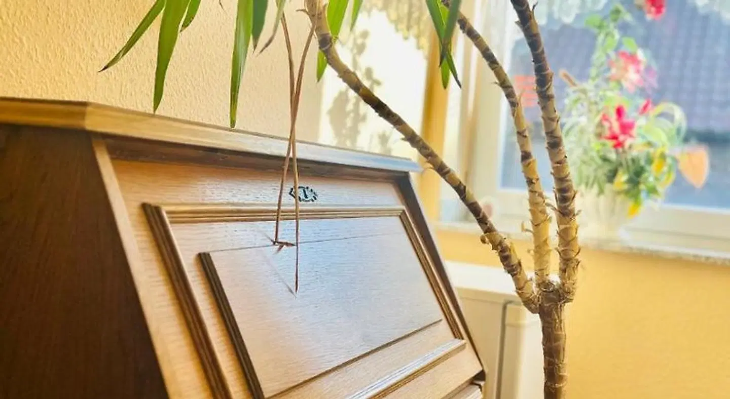 Westfalen-Krug Terrasse