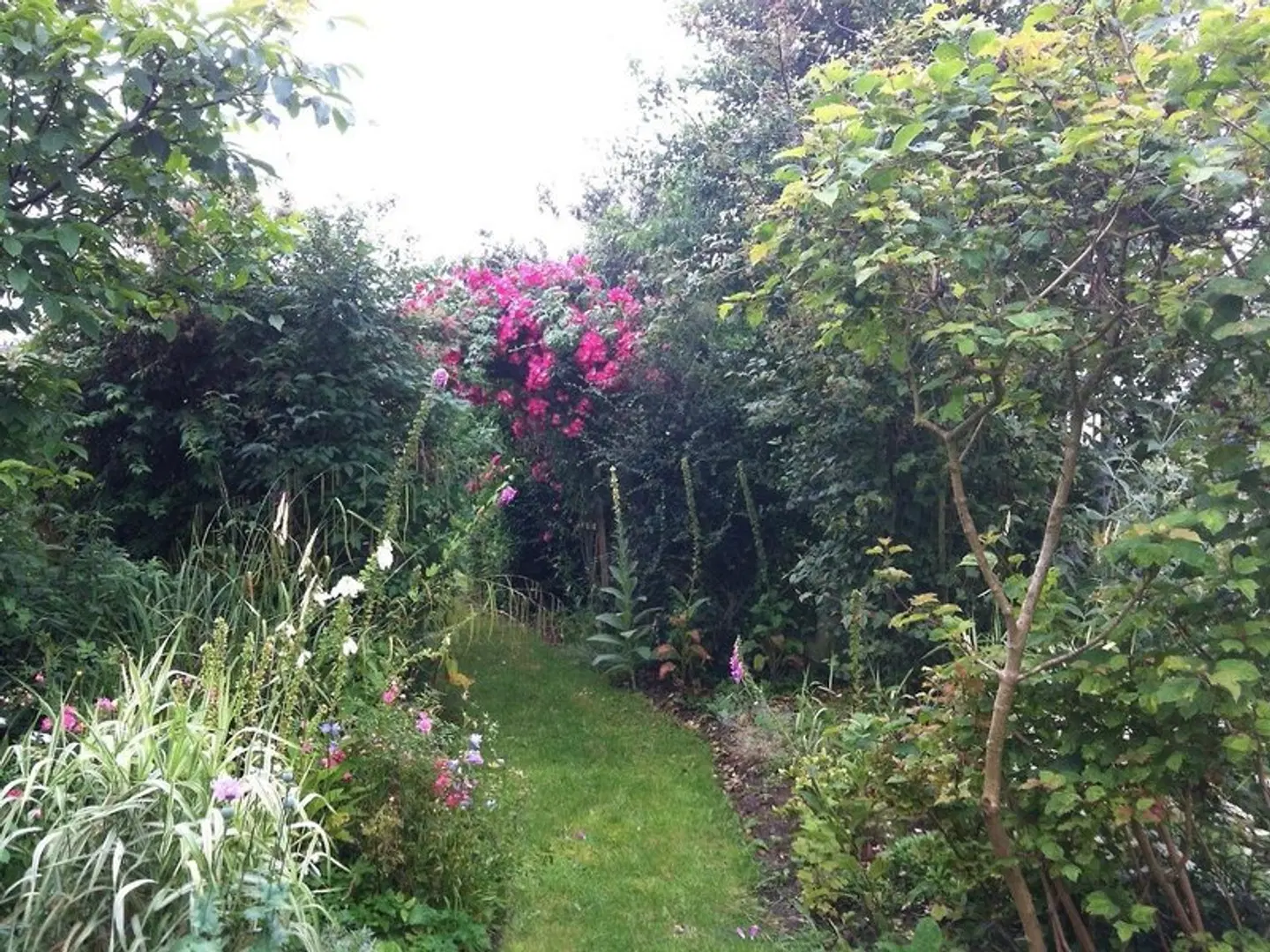 Laurel Lodge Garten
