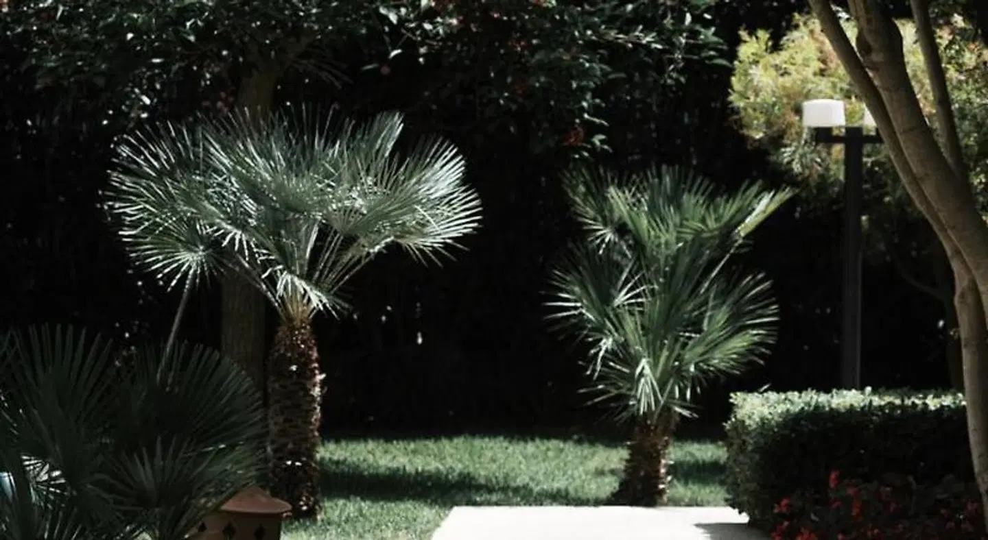 Prinsotel Alba Garten