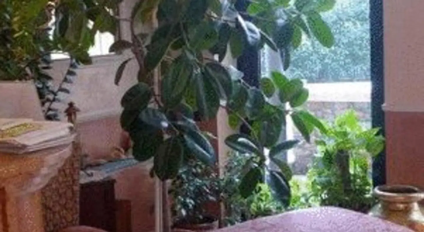 Hotel Borghetti SPORTS_AND_LEISURE