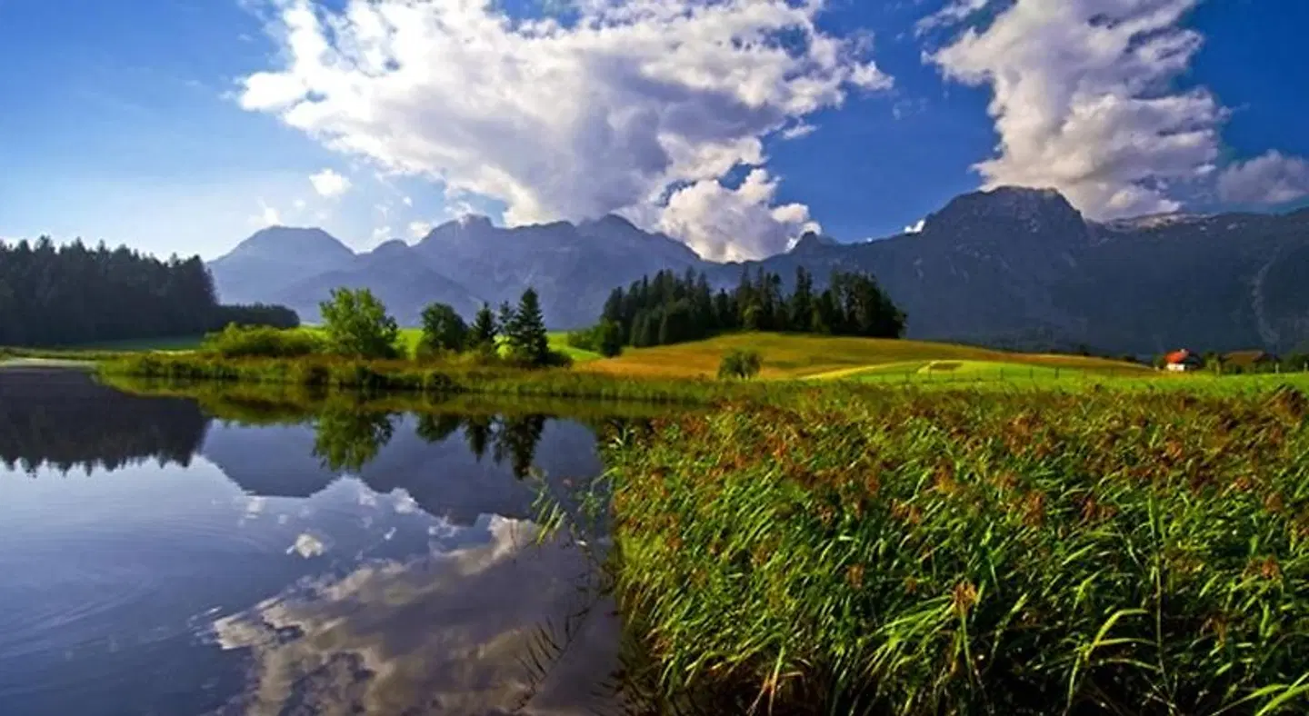 Lammertalerhof LANDSCAPE