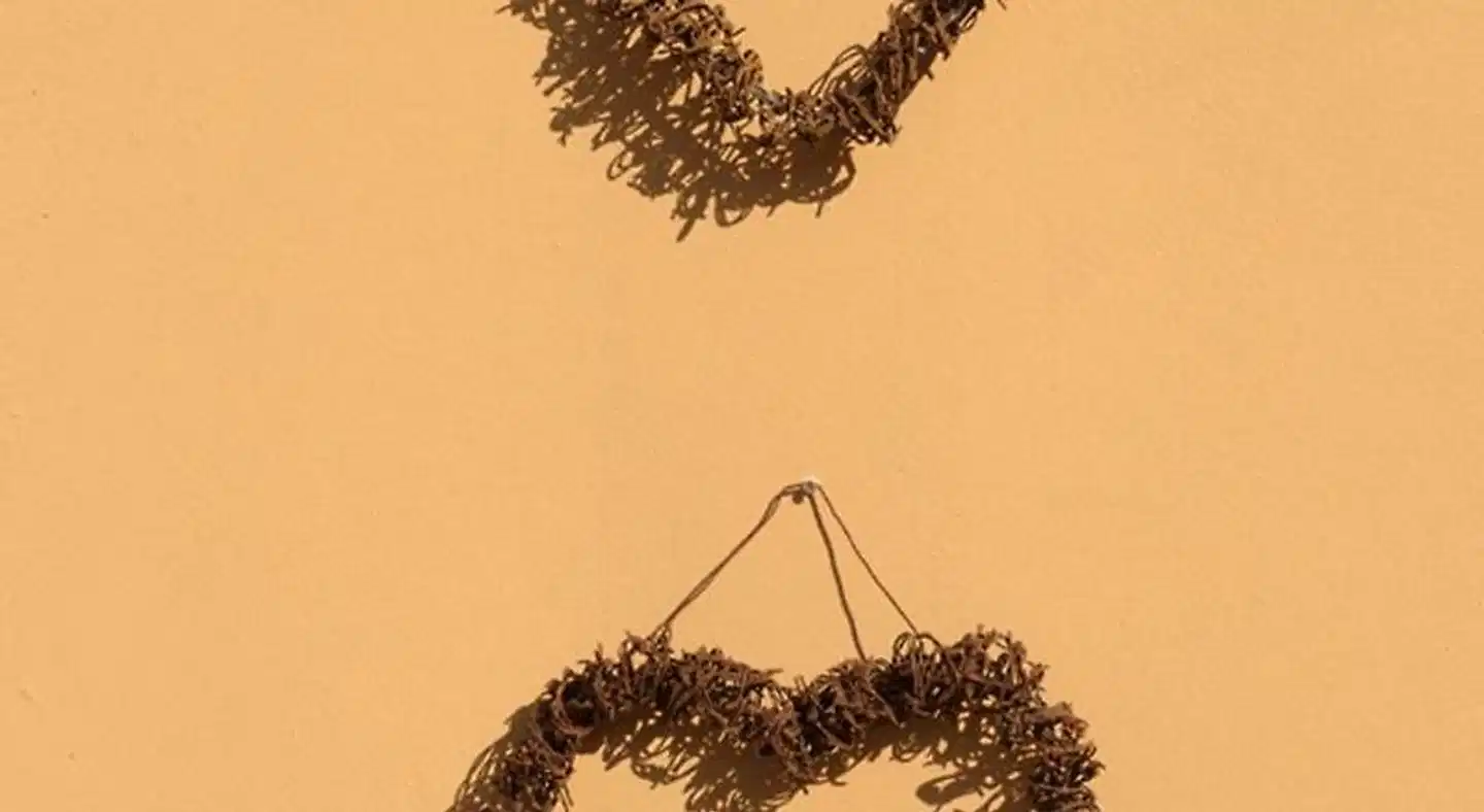 Treetops Guesthouse Tiere