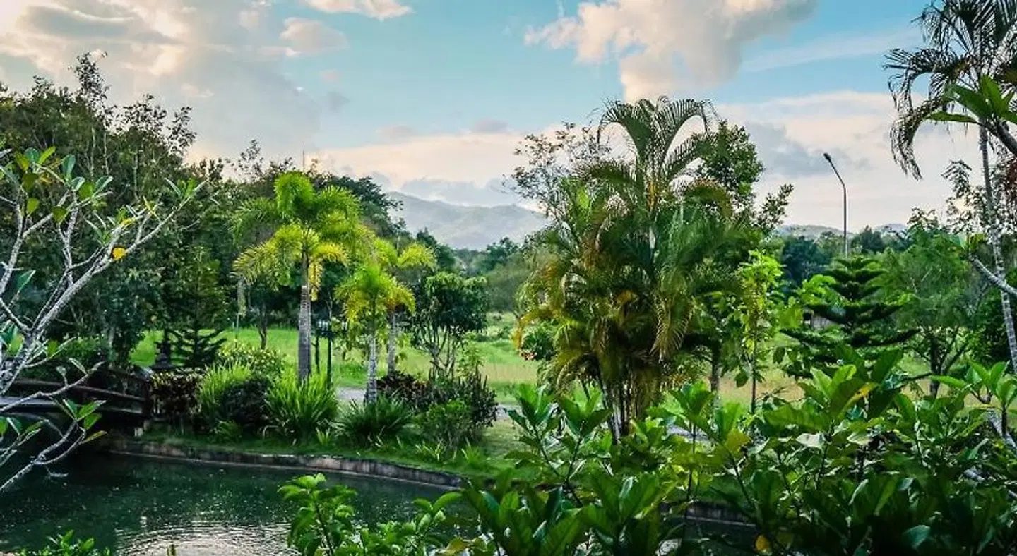Rommai Villa LANDSCAPE
