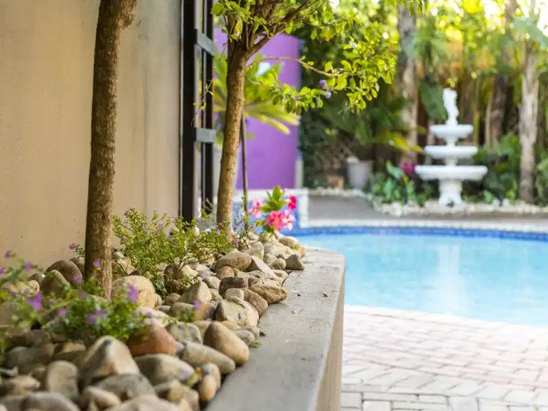 Kingfisher GuestHouse – Hotelfoto