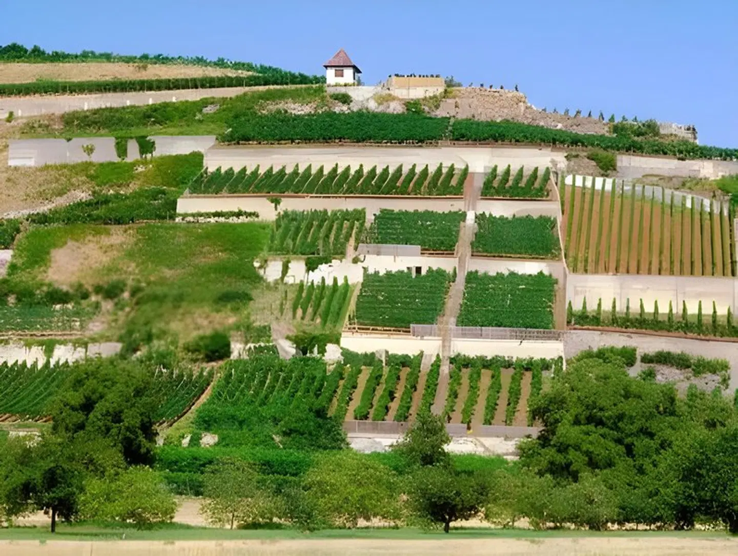 Hotel Winzerstube Garten