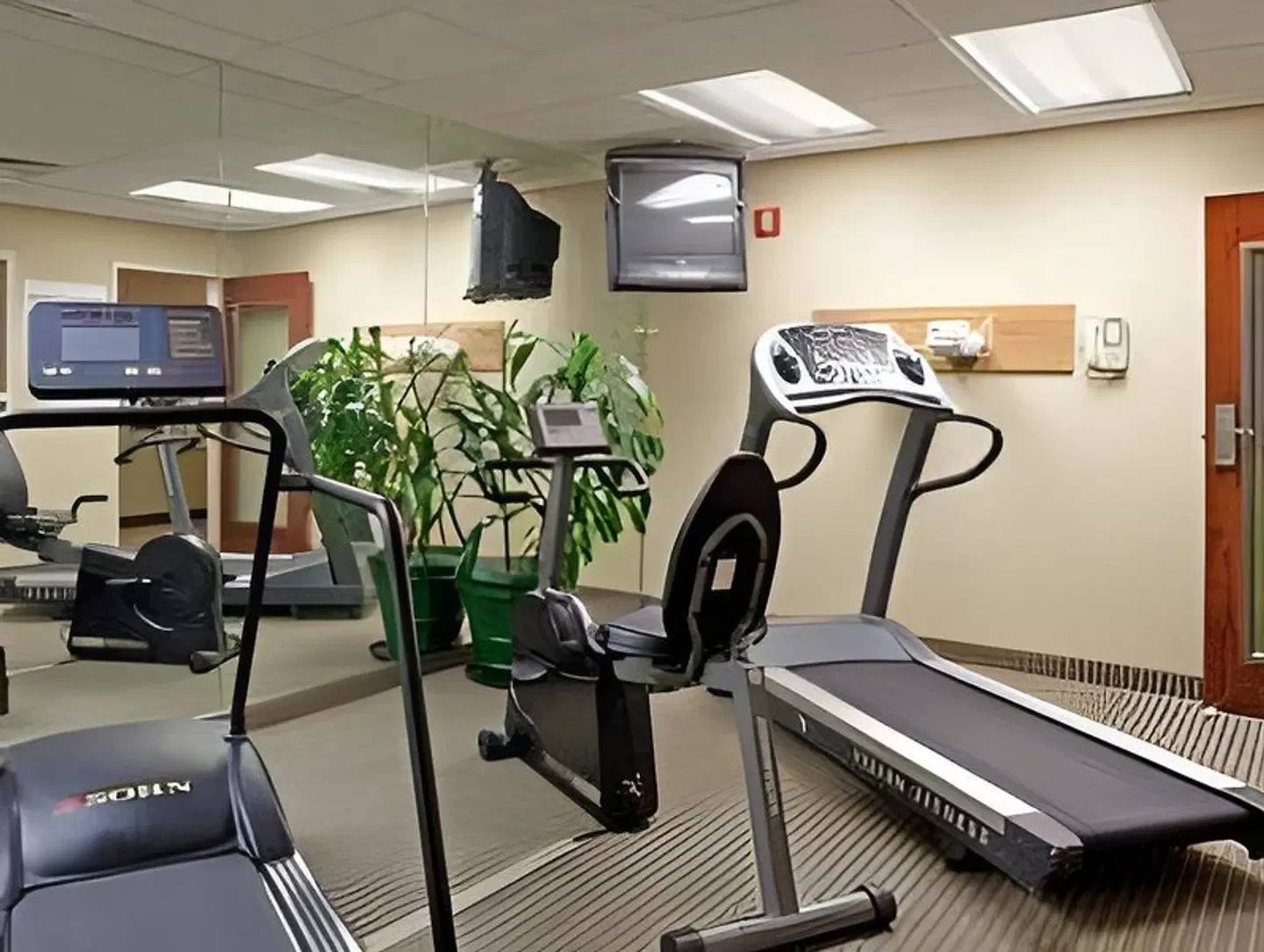 Holiday Inn Express Chapel Hill by IHG SPORTS_AND_LEISURE