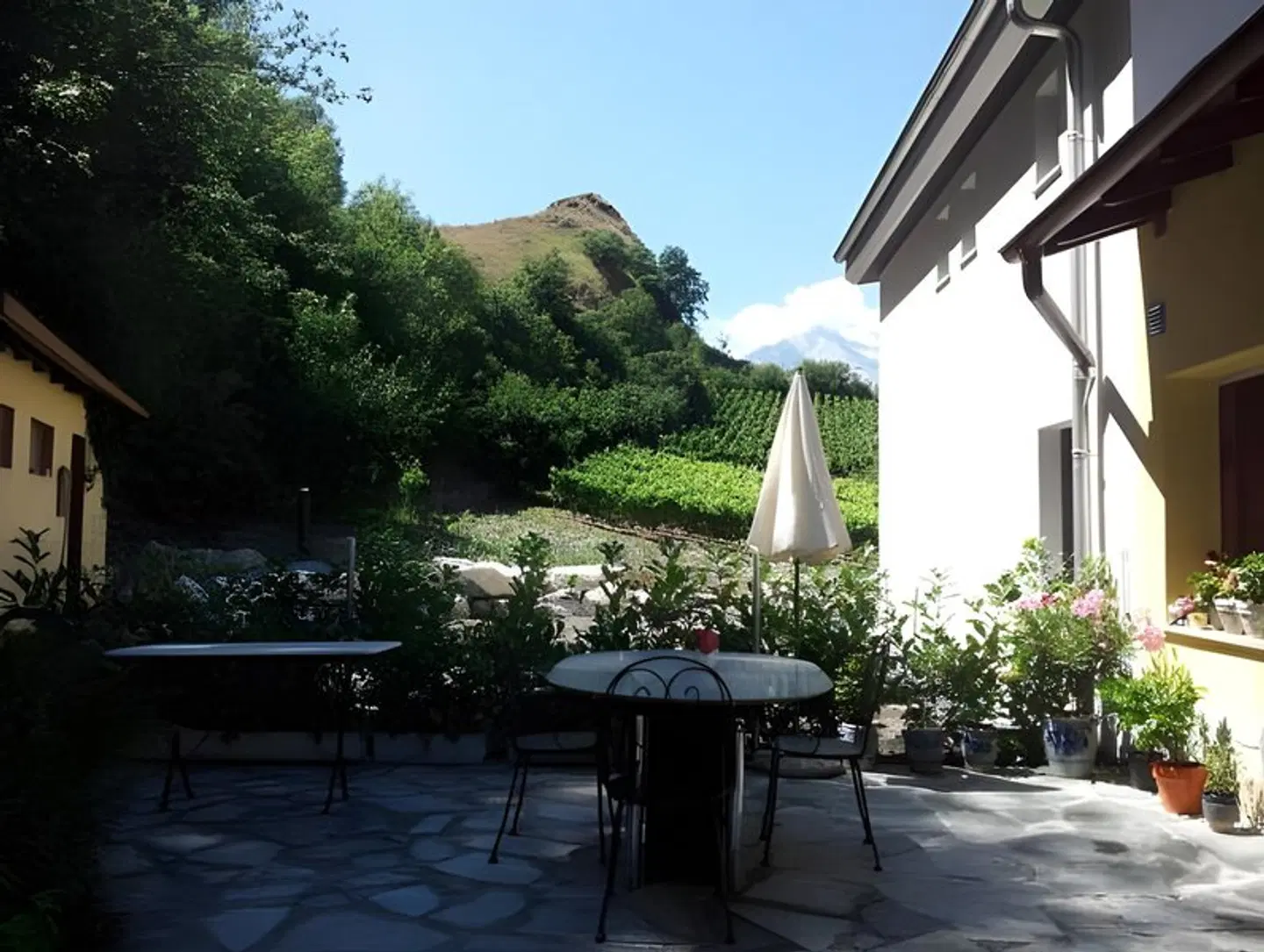 Le Merle Châtelain Terrasse