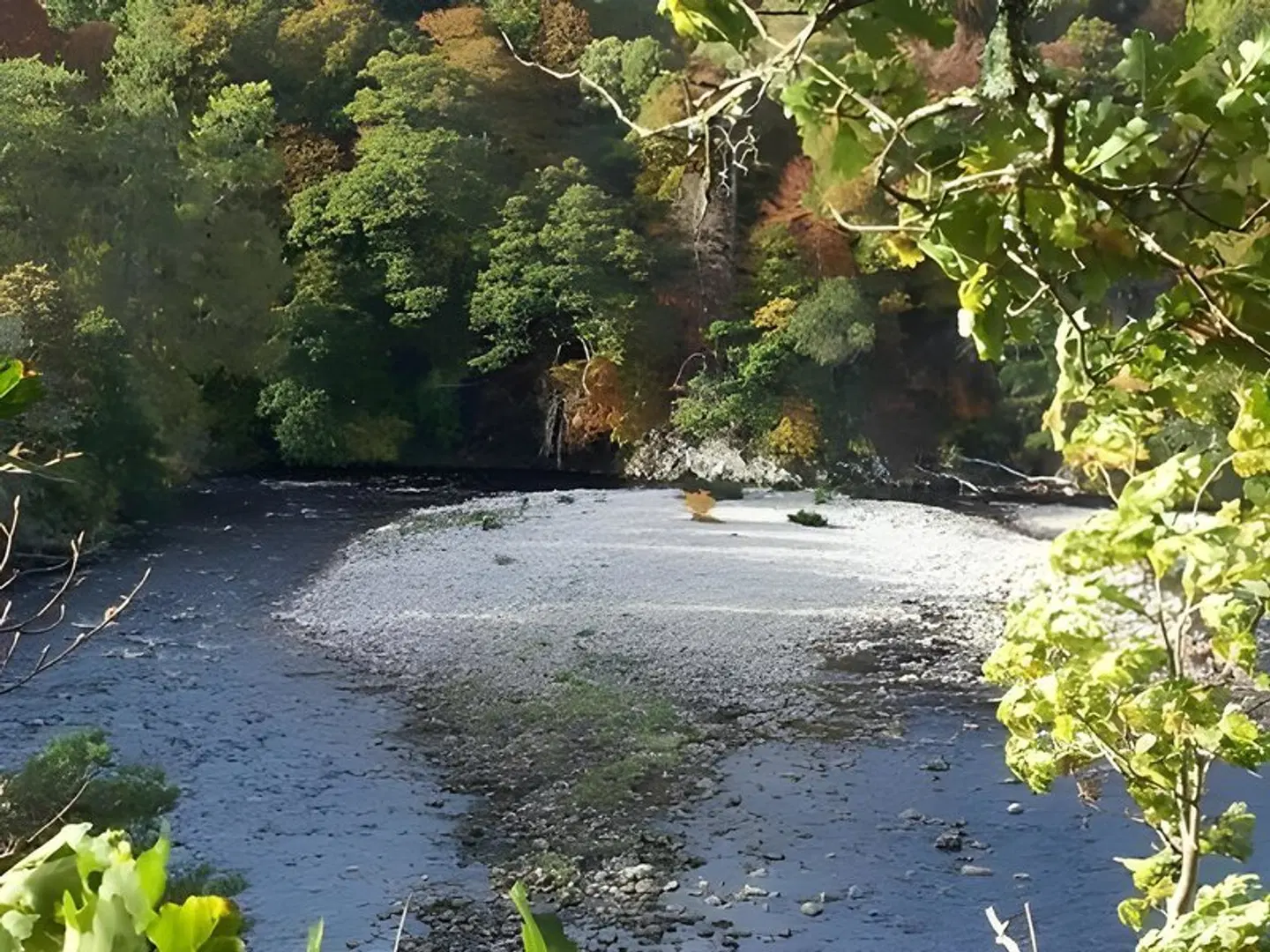 Tali Ayer LANDSCAPE