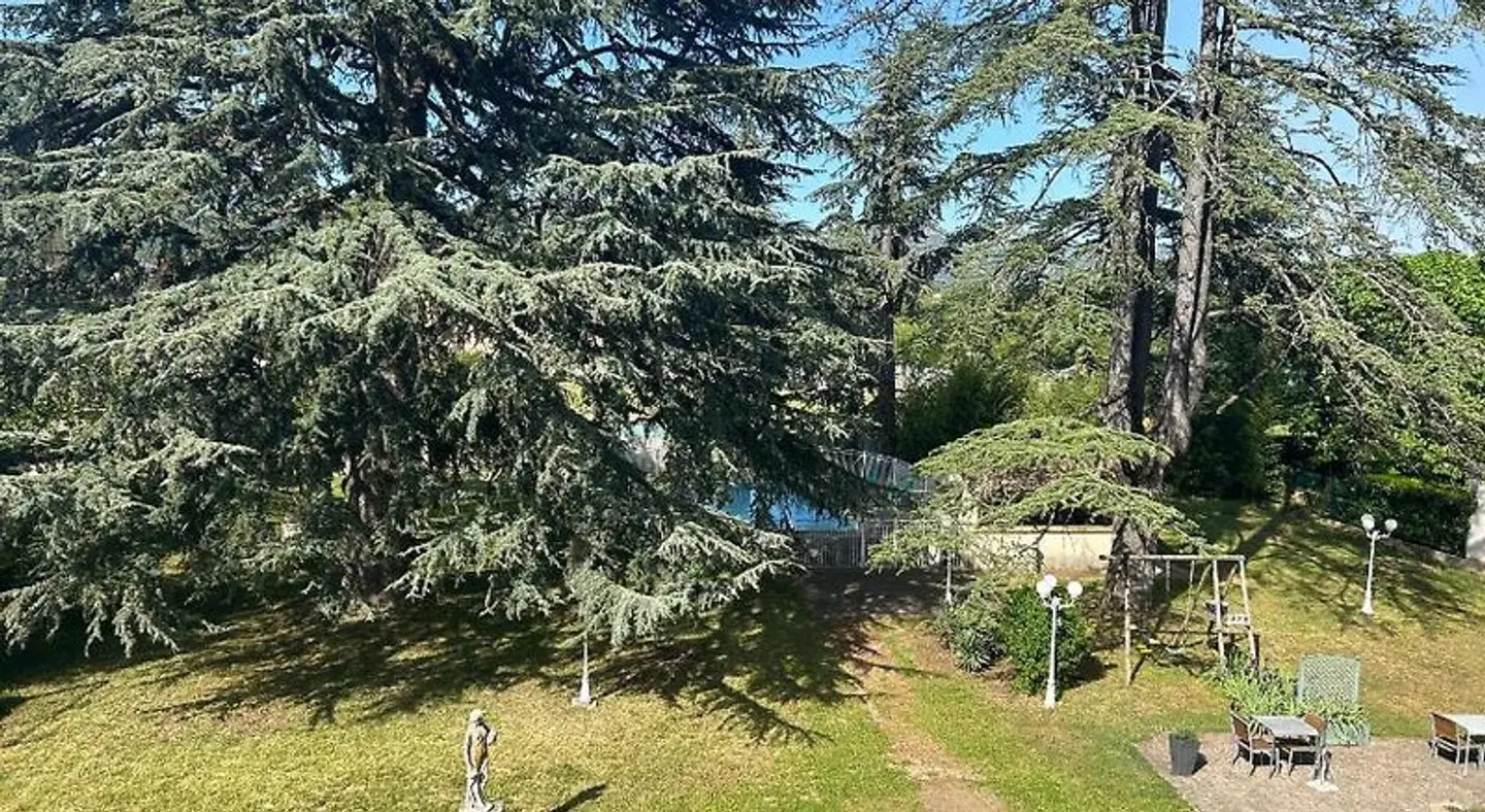 Le Parc aux Cedres Garten