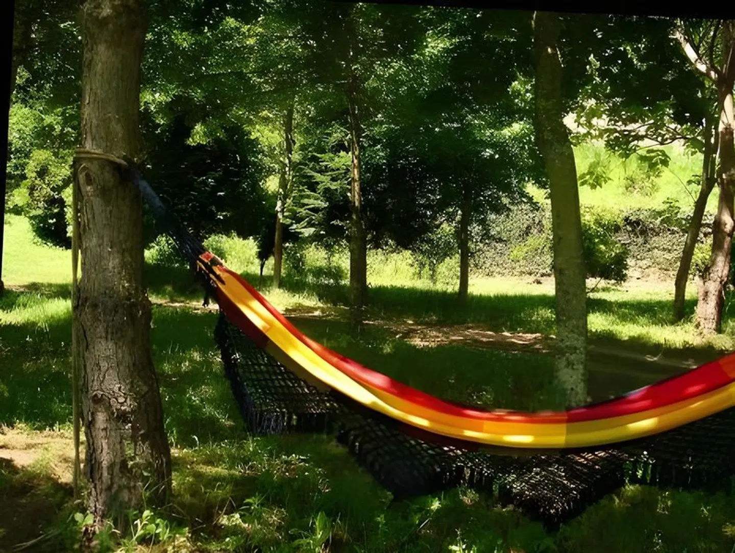 Quinta De Abol De Baixo Garten