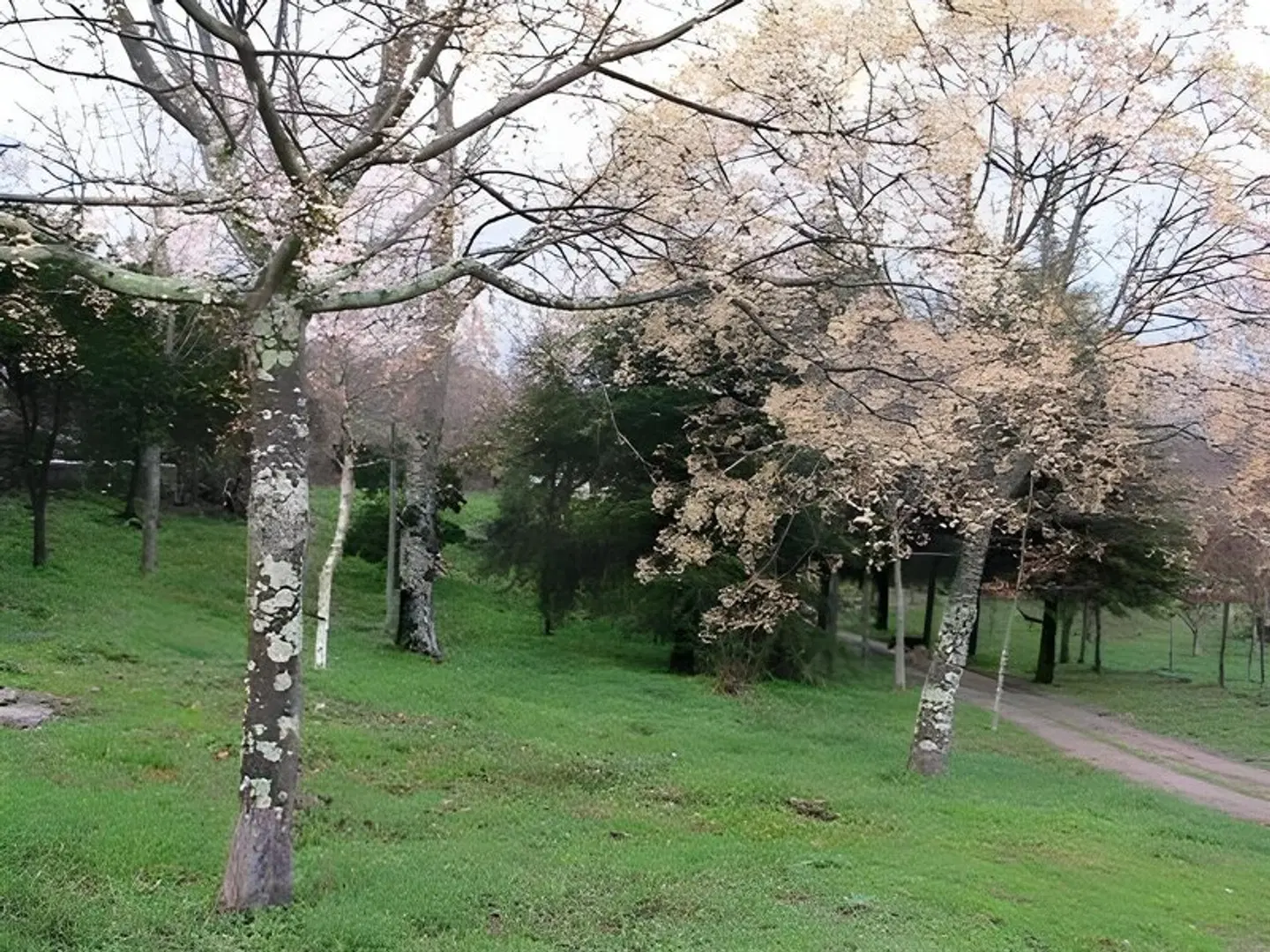 Quinta De Abol De Baixo Garten