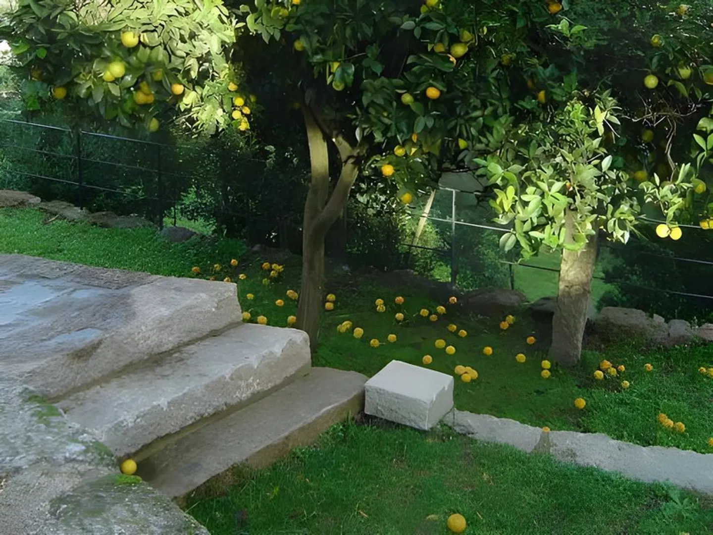 Quinta De Abol De Baixo Garten